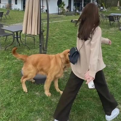 硅谷第六季